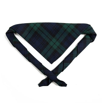 Youth necker, tartan