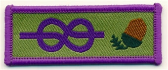 Young leader adult recognition badge