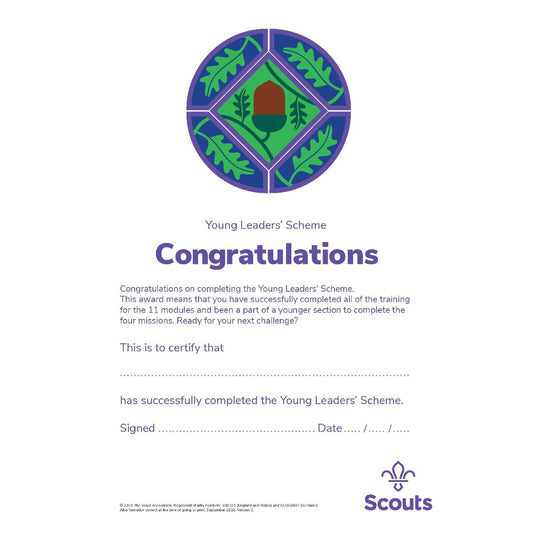 Young Leaders Completing the Scheme Certificate (Pack of 10)