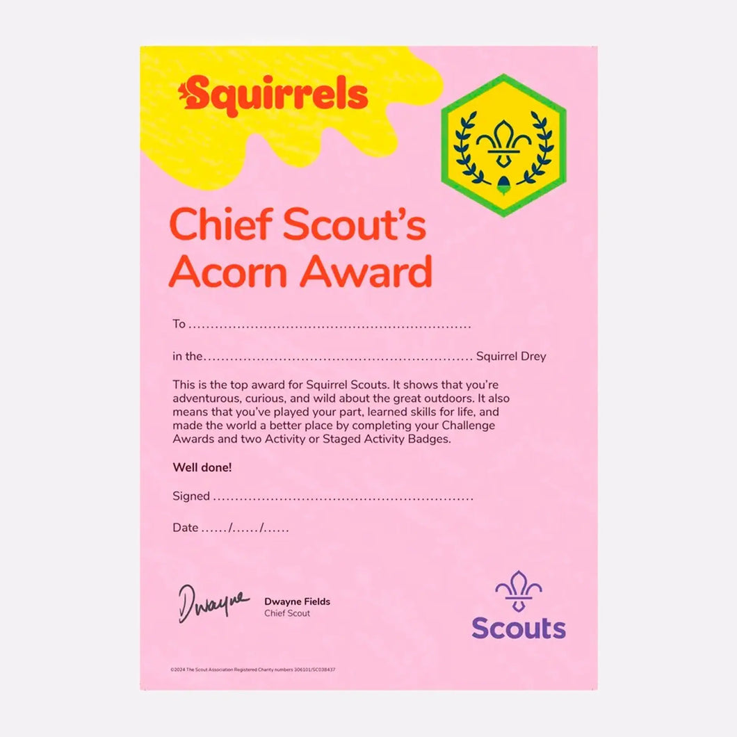 Chief Scout Golden Acorn Certificates