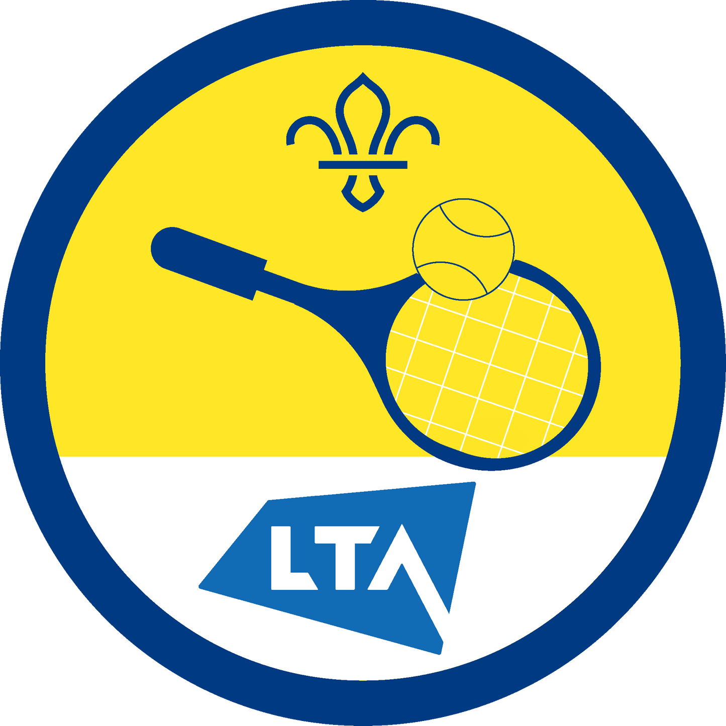 Beaver Activity Badges