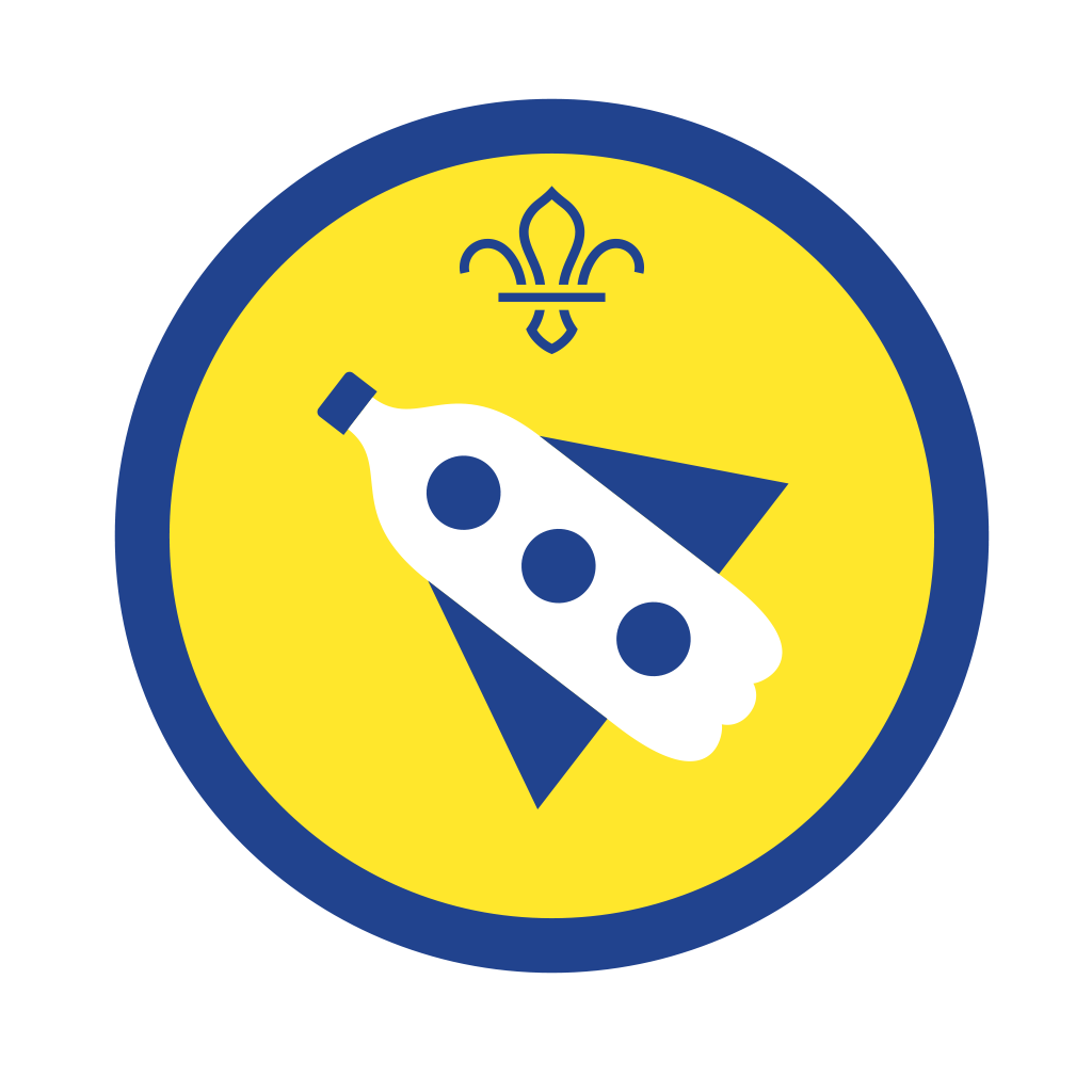 Beaver Activity Badges
