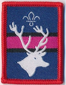 Patrol Section Badges