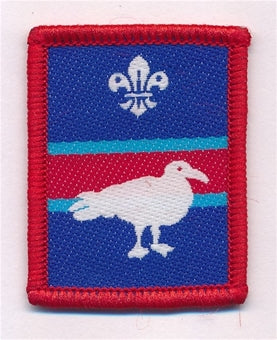 Patrol Section Badges
