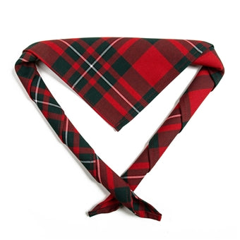 Youth necker, tartan