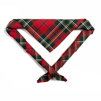 Adult necker, tartan
