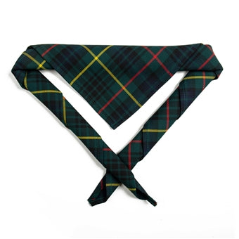 Youth necker, tartan