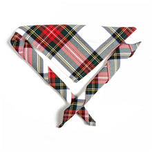 Load image into Gallery viewer, Youth necker, tartan
