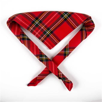 Youth necker, tartan