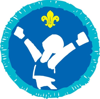 Explorer Activity Badges