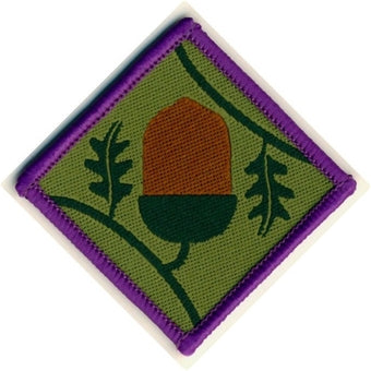 Young leader module A badge