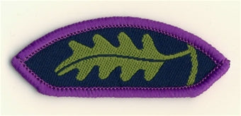 Young Leader missions badge