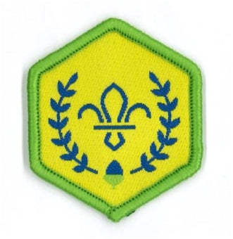 Chief Scout Awards