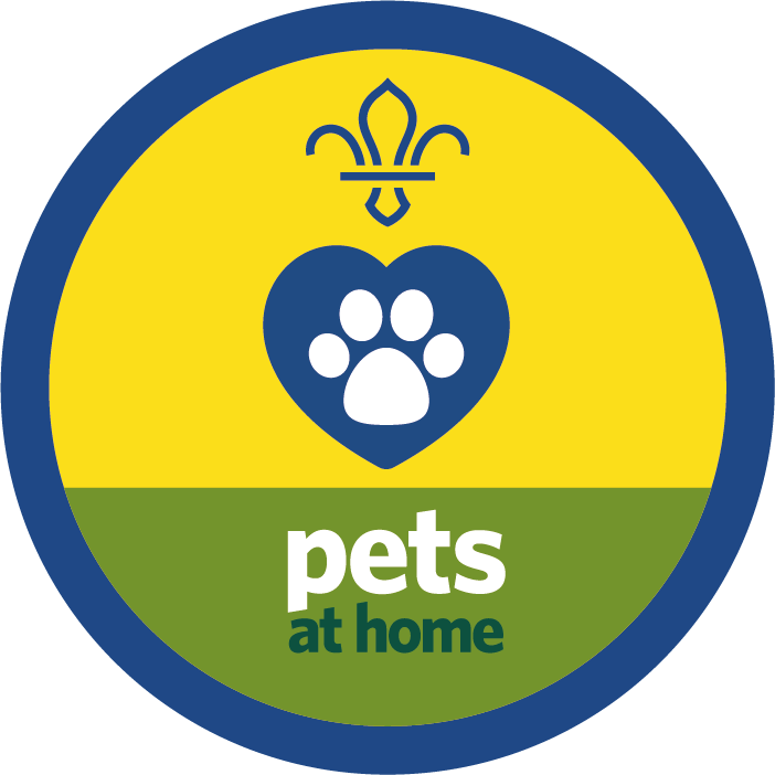 Beaver Activity Badges