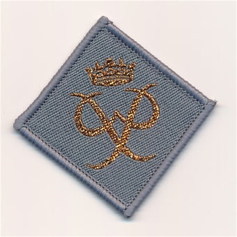 Duke of Edinburgh award