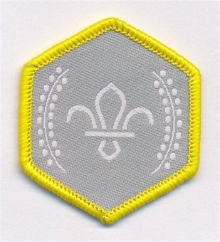 Chief Scout Awards