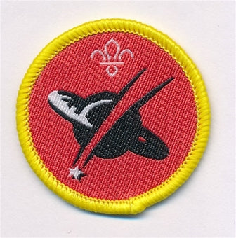 Cub Activity Badges