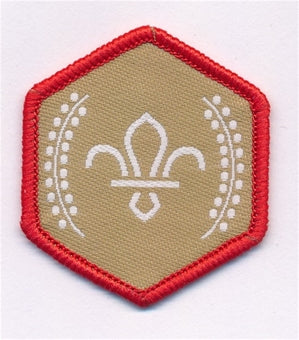 Chief Scout Awards