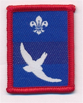 Patrol Section Badges