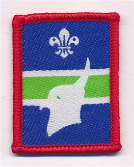 Patrol Section Badges