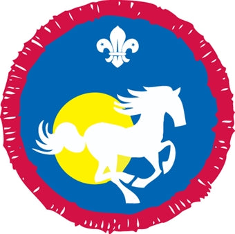 Scout Activity Badges