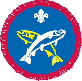 Scout Activity Badges