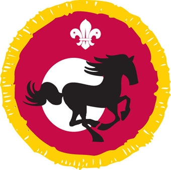 Cub Activity Badges