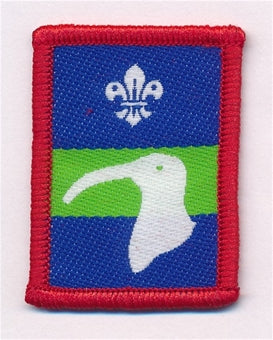 Patrol Section Badges