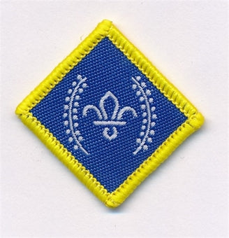 Chief Scout Awards