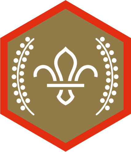 Chief Scout Awards