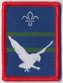 Patrol Section Badges