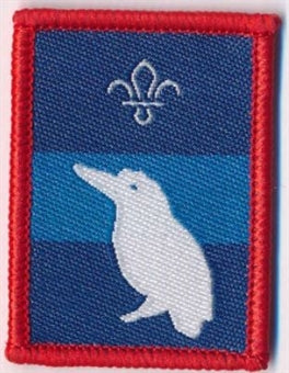 Patrol Section Badges