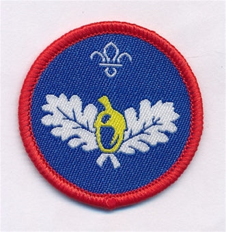 Scout Activity Badges