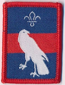 Patrol Section Badges