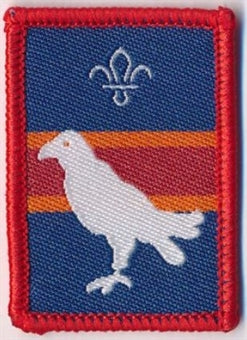 Patrol Section Badges