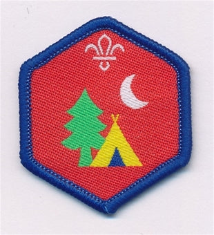 Beaver Challenge Badges