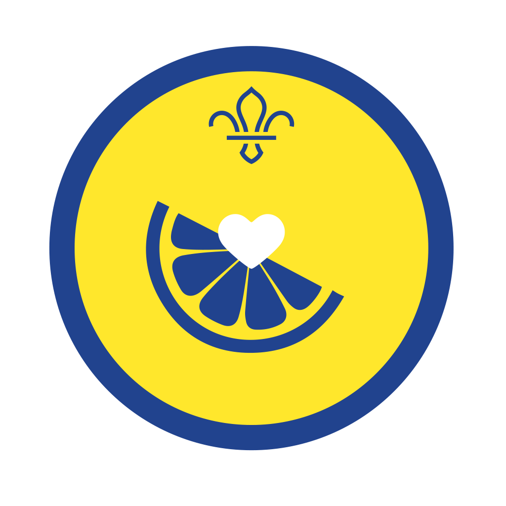 Beaver Activity Badges