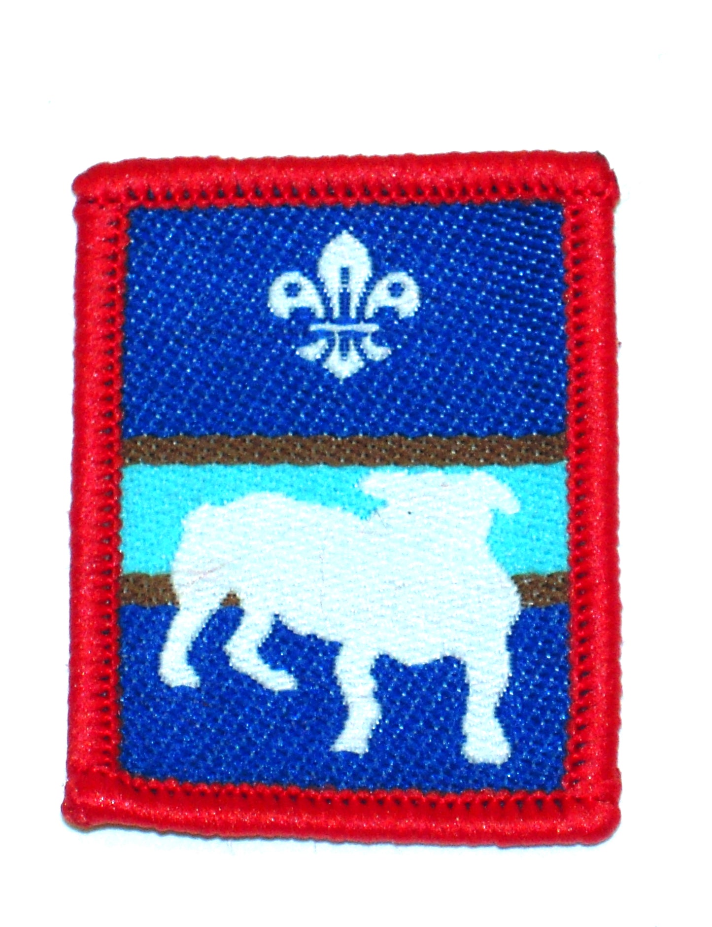 Patrol Section Badges