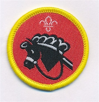 Cub Activity Badges