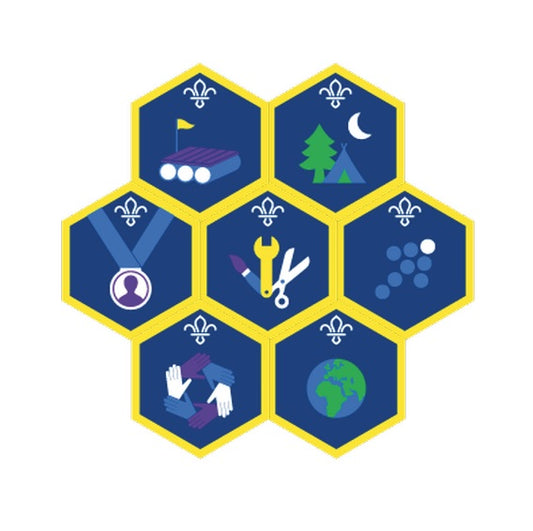 Cub Challenge Badges