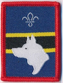 Patrol Section Badges