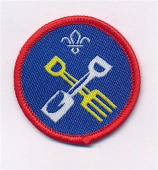 Scout Activity Badges