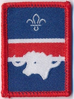 Patrol Section Badges