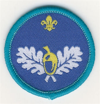 Explorer Activity Badges
