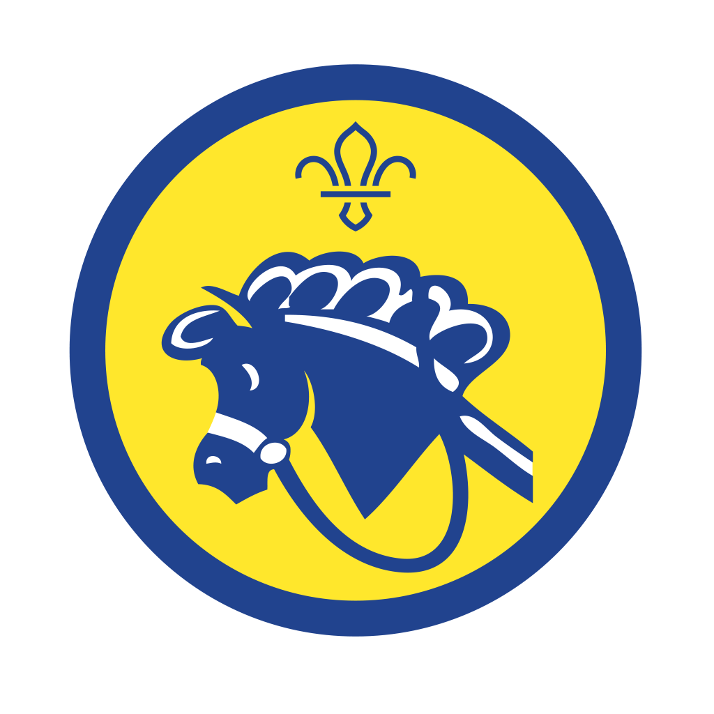Beaver Activity Badges