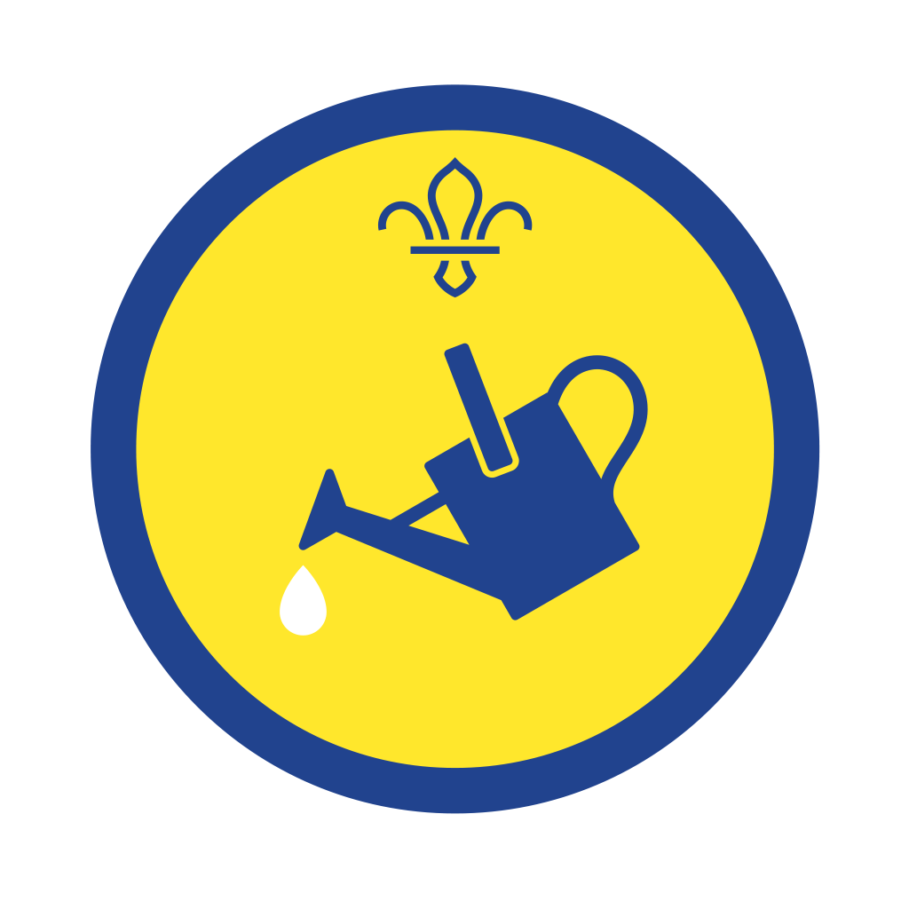 Beaver Activity Badges