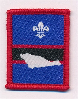 Patrol Section Badges