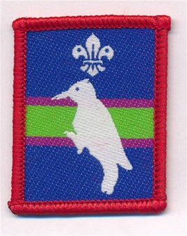 Patrol Section Badges