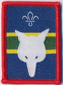 Patrol Section Badges