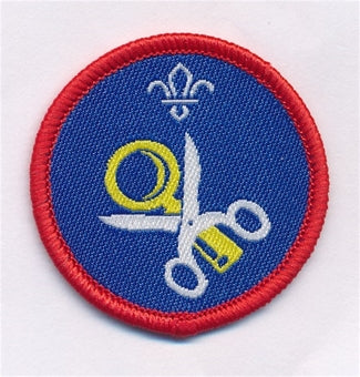 Scout Activity Badges